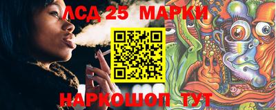 mdma Гатчина