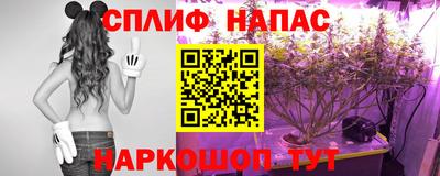mdma Гатчина