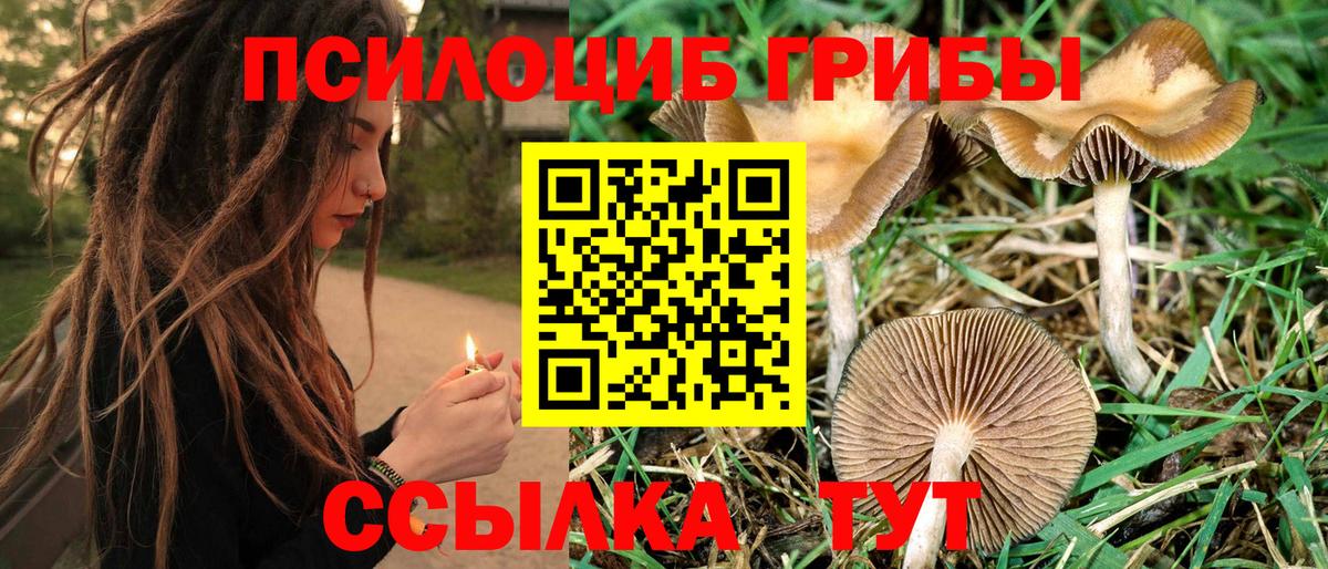 Лянтор  Псилоцибиновые грибы мицелий  Вход с VPN  Псилоцибиновые грибы MAGIC MUSHROOMS 